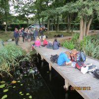 IMG 0887 IMG 0887