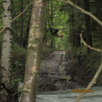 IMG 0925 IMG 0925