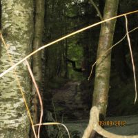 IMG 0930 IMG 0930