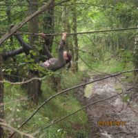 IMG 0962 IMG 0962