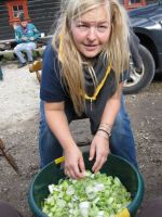 IMG 4742 IMG 4742