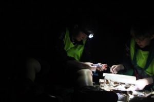 IMG 4973 IMG 4973