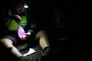 IMG 5050 IMG 5050