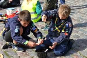 IMG 7900 IMG 7900