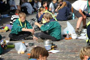 IMG 7917 IMG 7917