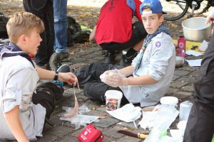 IMG 7920 IMG 7920