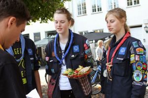 IMG 7951 IMG 7951